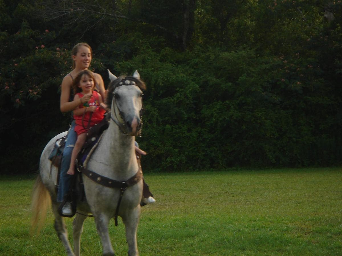 Williams Family Reunion 2006 43