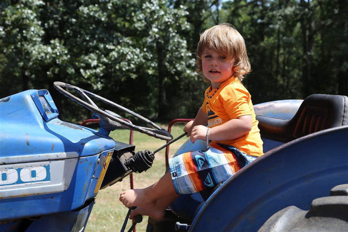 Williams Family Reunion 2016 9